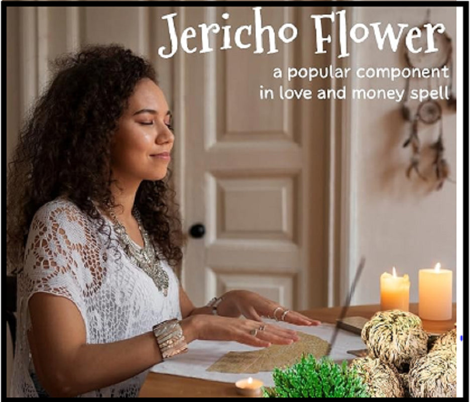 7 Pack Rose of Jericho Dried Plants - Rosa De Jerico Original, Dried Fern Like