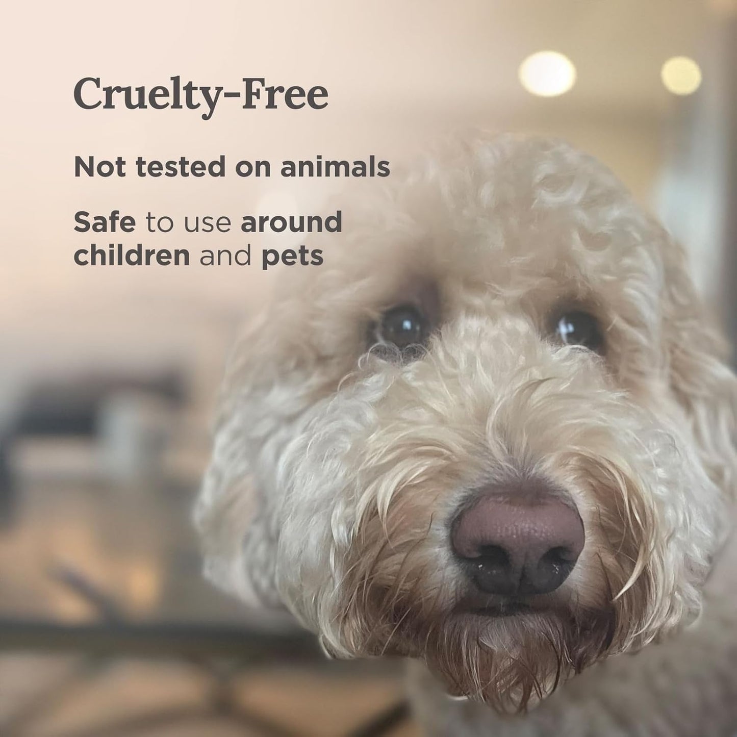 Long Lasting Money Smudge Candle with Clove, Cinnamon & Citronella | 14 Oz - 56 Hour Burn | Made of Soy Wax for House Energy Cleansing & Manifestation | Boost Your Cash Flow