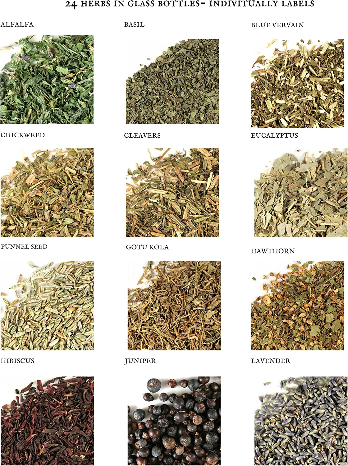 Spell Herbs for Witchcraft - 24 Bottles of Magical Herbal Supplies for Pagan, Wiccan, Witch Spells & Ritual (15ML Paper Box)