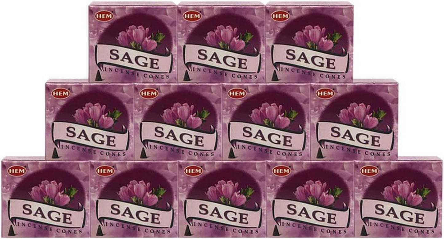 Sage Incense Cones and Cone Incense Burner Bundle Insence Insense Hem Incense