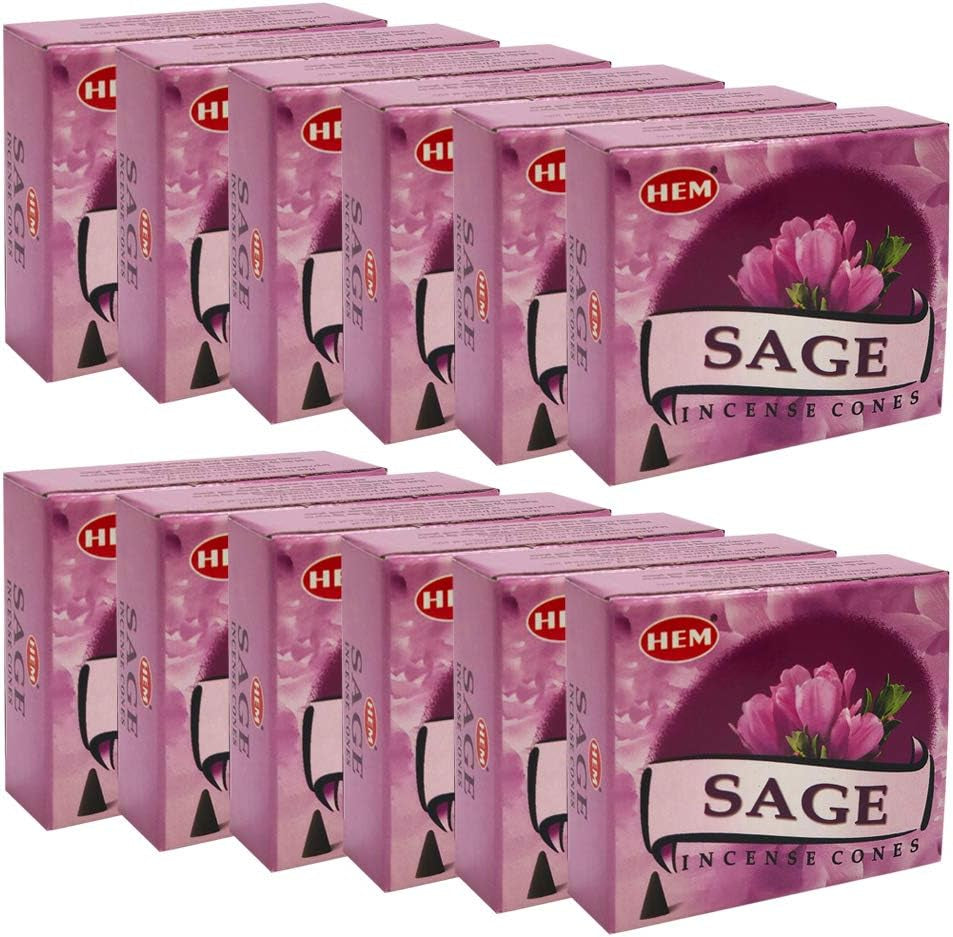 Sage Incense Cones and Cone Incense Burner Bundle Insence Insense Hem Incense