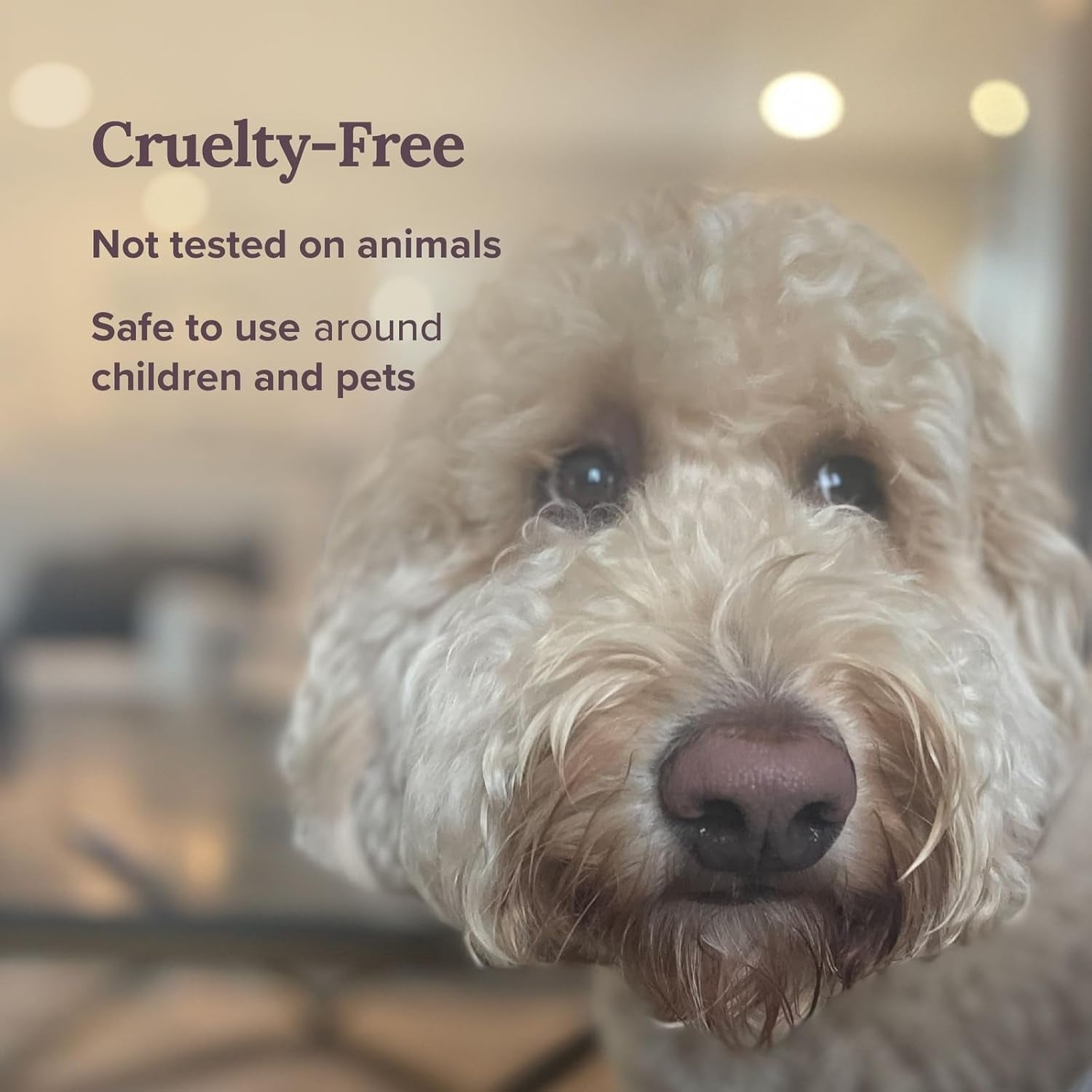 Scorpio Zodiac Sign Candle - Scented Soy Wax - Choose Your Birthdate - Great Holiday Favor for Horoscope Fans - 6 Oz Tin Holder