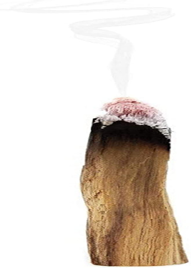 Premium Palo Santo Holy Wood Incense Sticks from Peru, for Purifying, Cleansing, Healing, Meditating, Stress Relief. 100% Natural and Sustainable, Wild Harvested. (12)