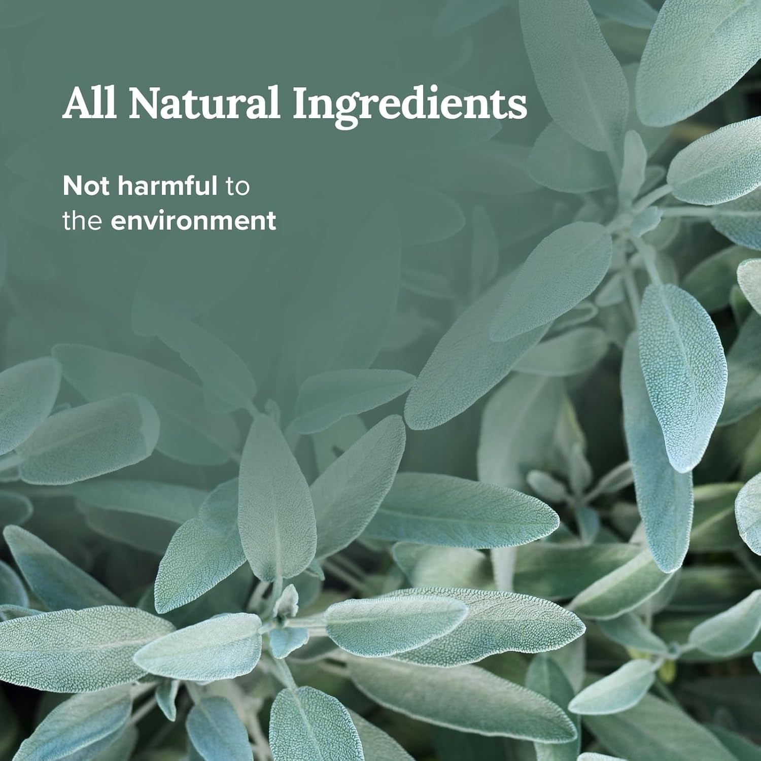 Scorpio Zodiac Sign Candle - Scented Soy Wax - Choose Your Birthdate - Great Holiday Favor for Horoscope Fans - 6 Oz Tin Holder